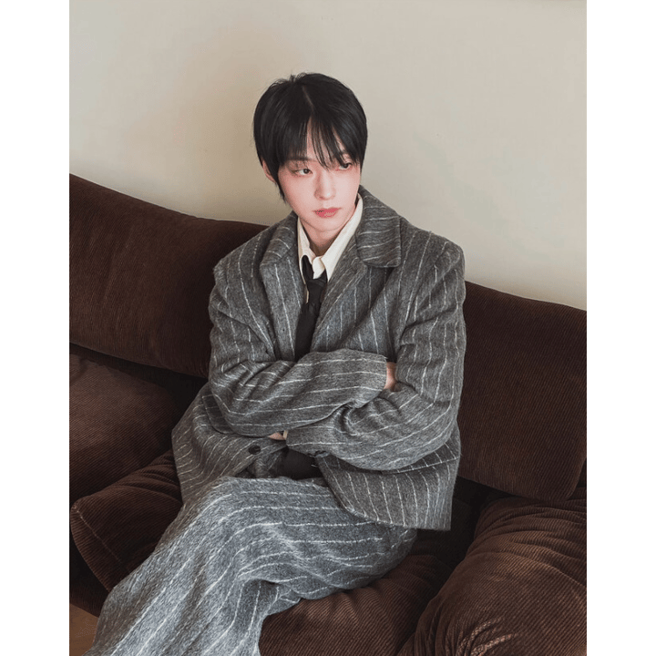 A102 羊絨條紋立領短版大衣 (黑 灰)